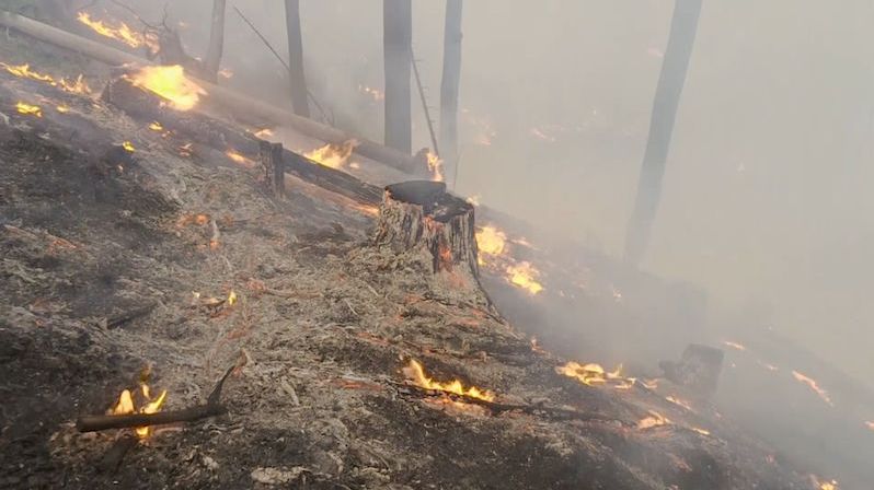 S hašením lesních požárů mají pomoct pronajaté vrtulníky